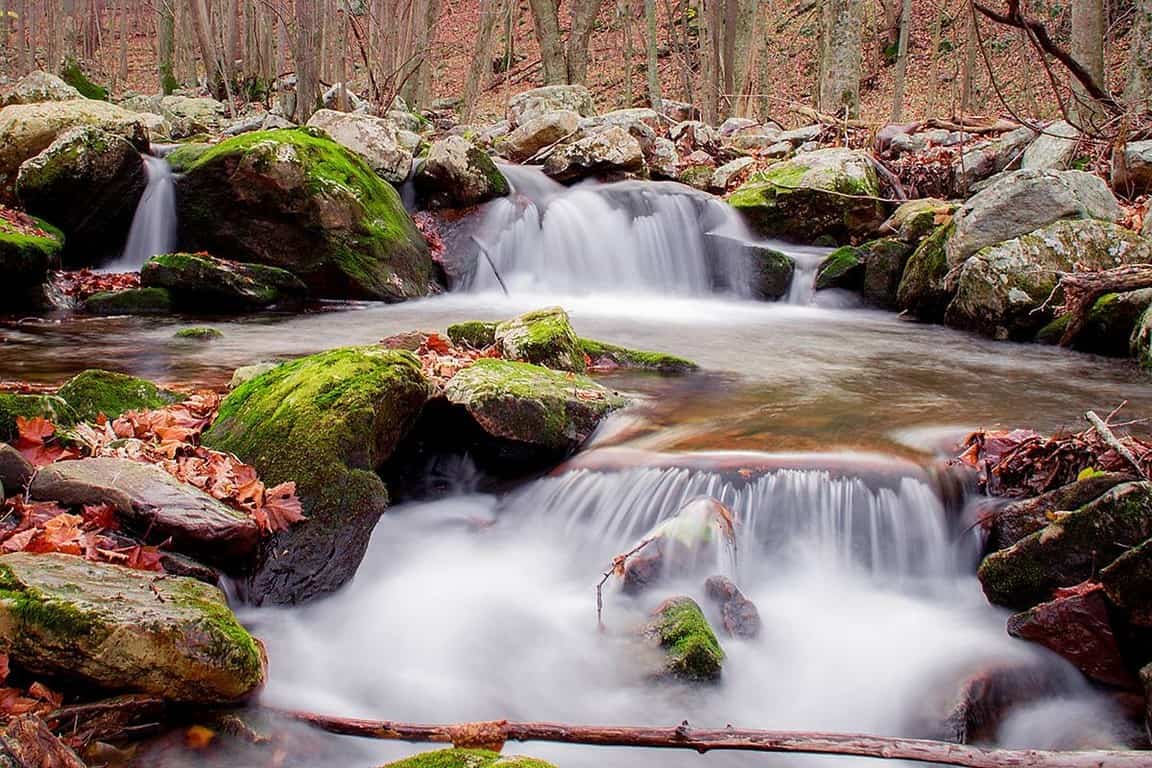 Town of Narrows Discover Narrows