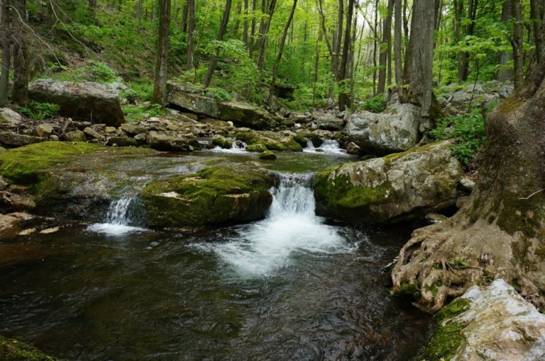 Mill Creek Nature Park & Bike Rides | Town of Narrows